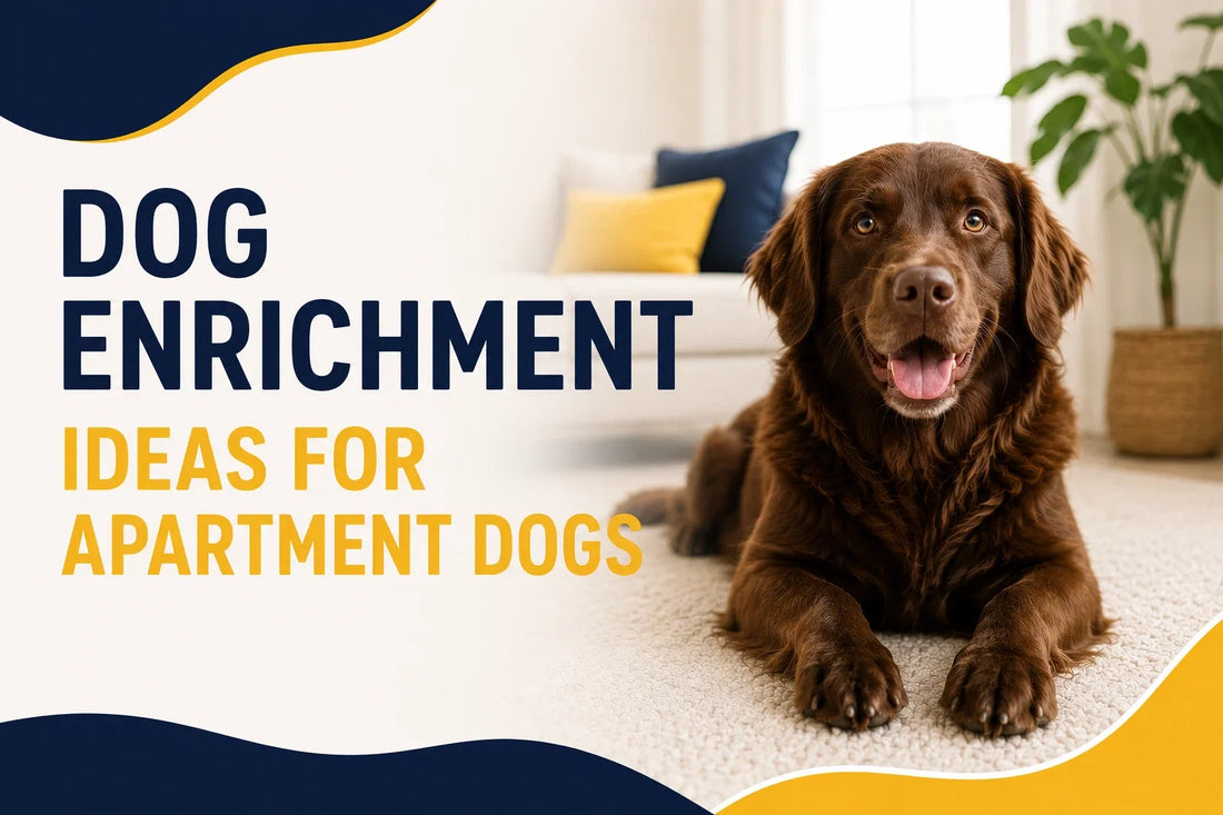 Dog Enrichment Ideas for Apartment Dogs: Ways to Keep Your Dog Happy Indoors