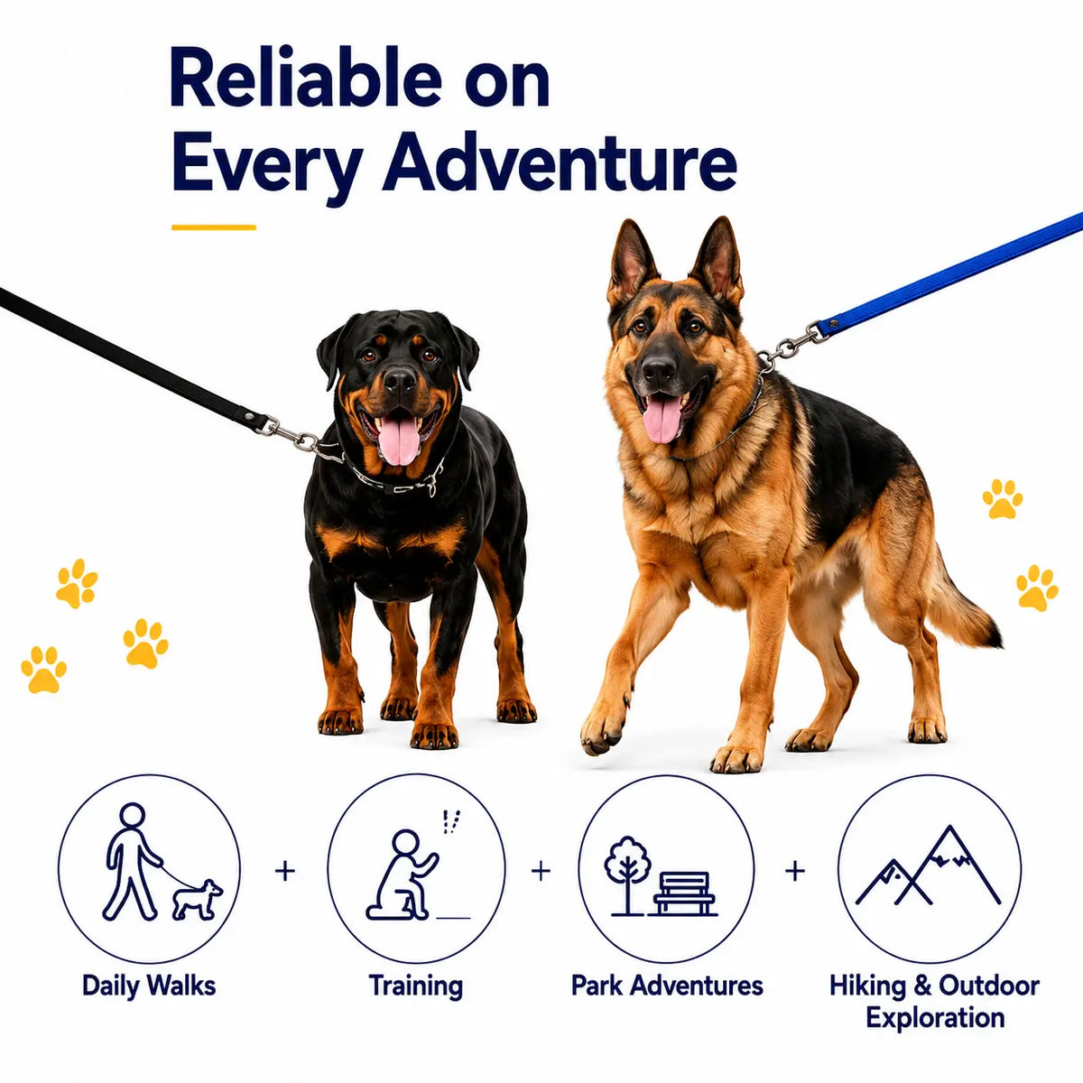 Plush Palm Pathway Leash