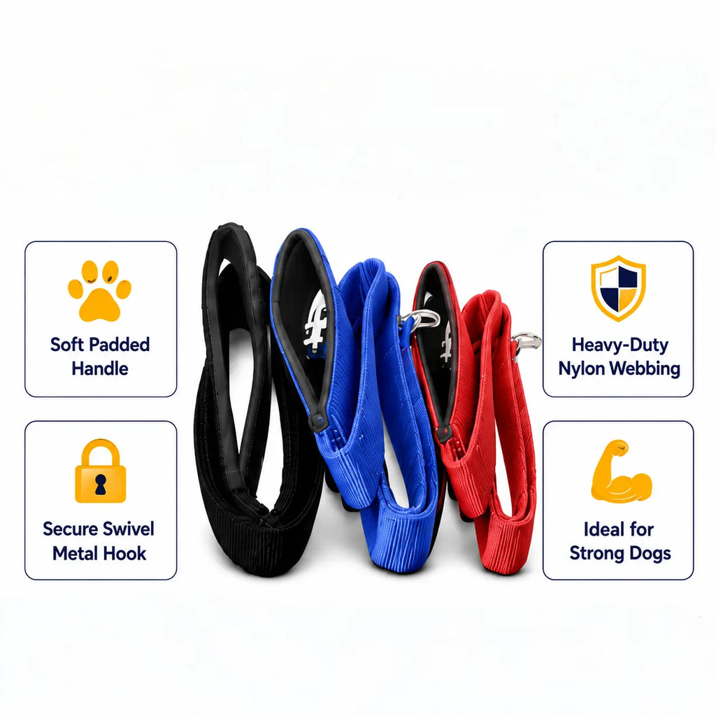 Plush Palm Pathway Leash