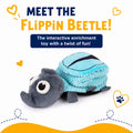 Flippin Beetle