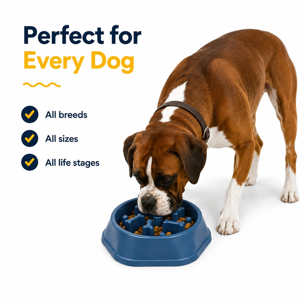 Slow Feeder Dog Bowl