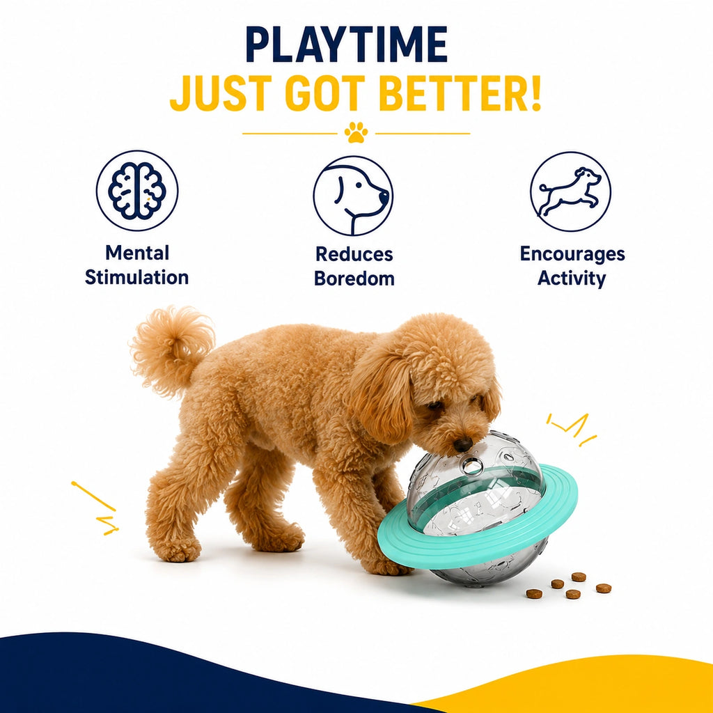Saturn World Treat Toy