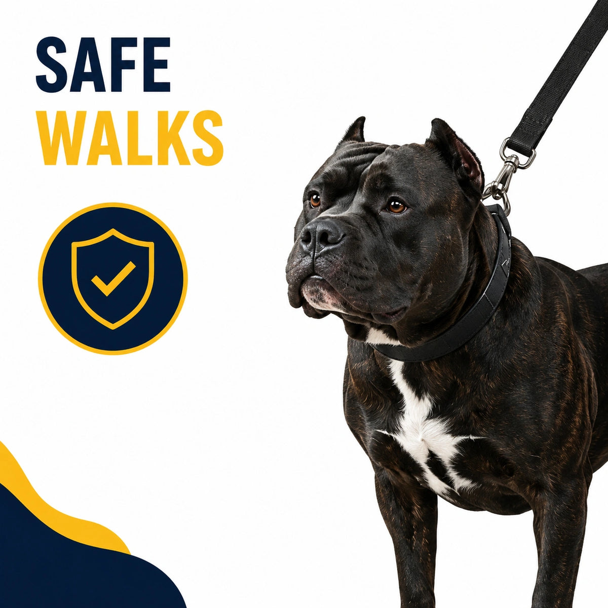 Cushion Command Leash