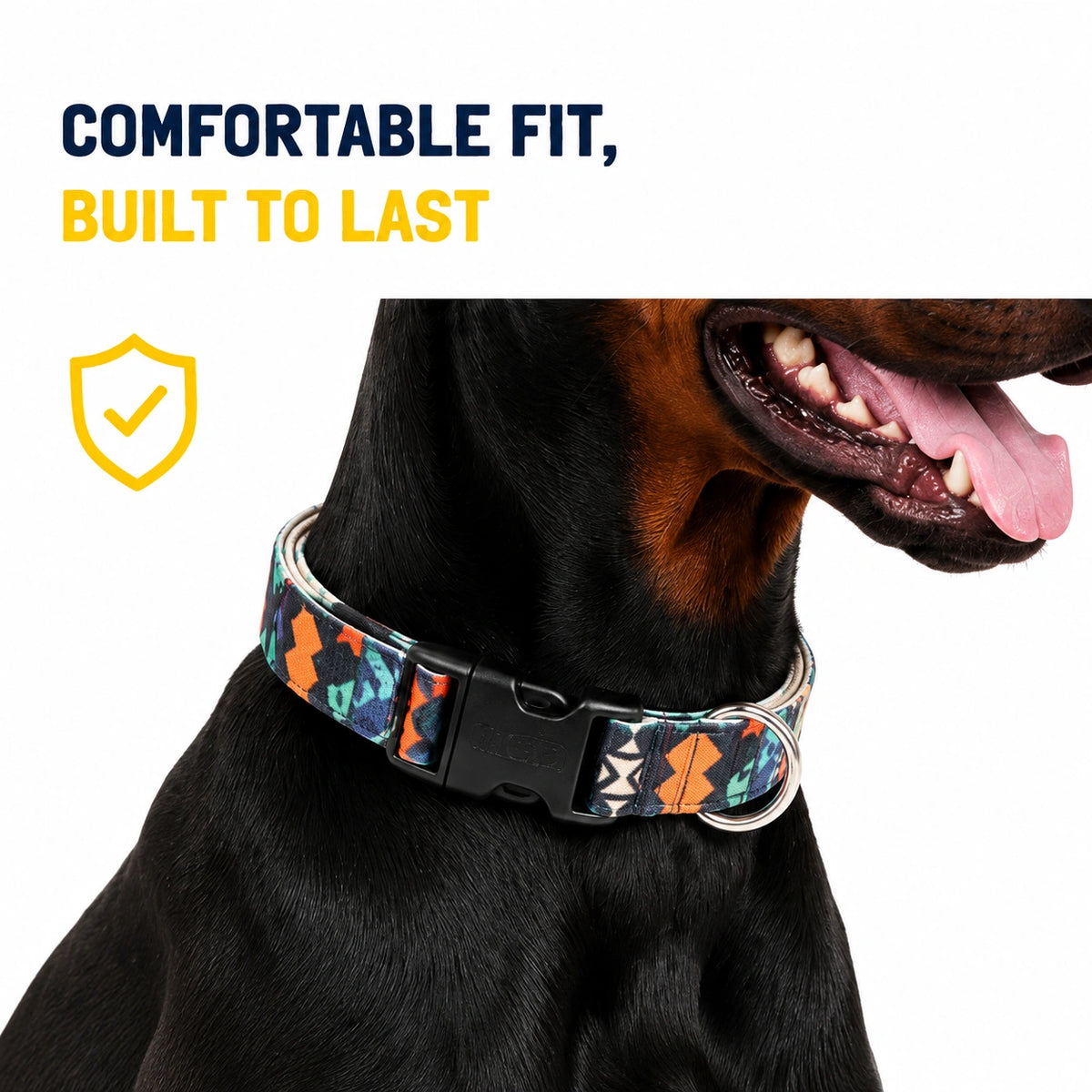 Midnight Mosiac - Leash and Collar set