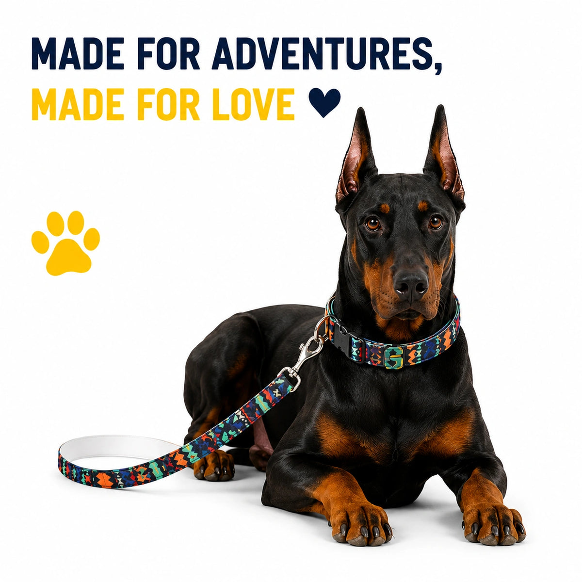 Midnight Mosiac - Leash and Collar set