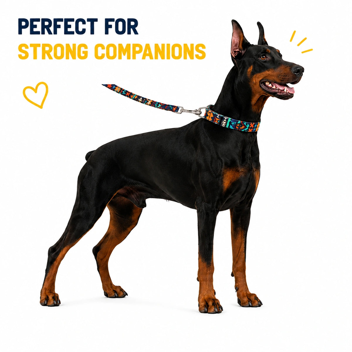 Midnight Mosiac - Leash and Collar set