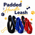 Plush Palm Pathway Leash