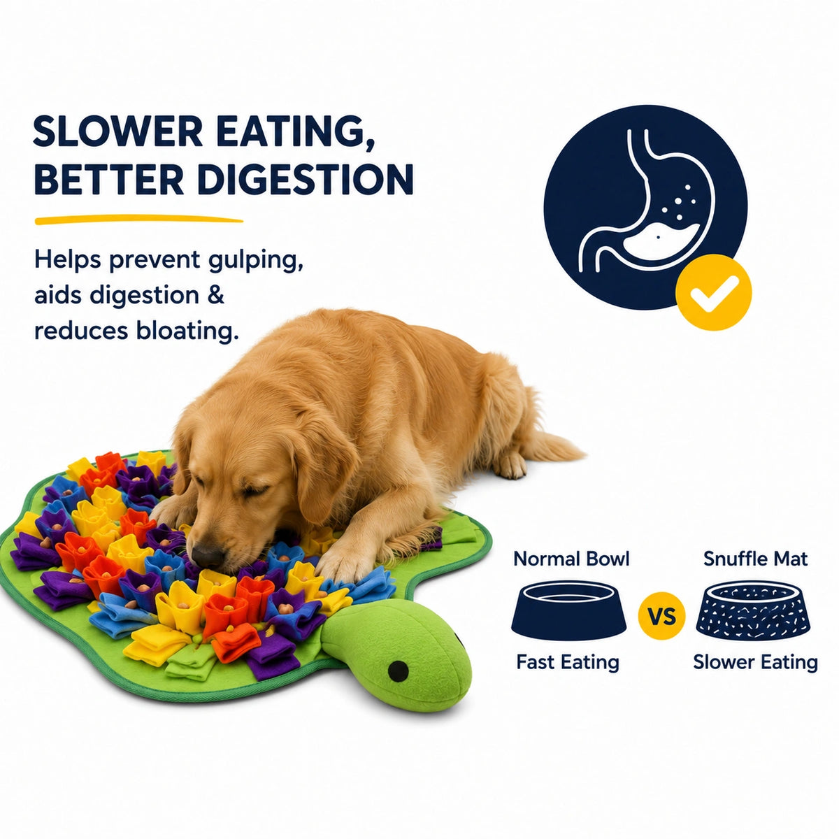 Wander Turtle Snuffle Mat