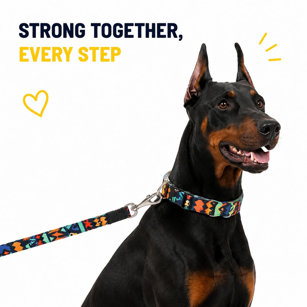 Midnight Mosiac - Leash and Collar set