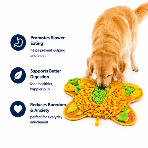 Butterfly Kisses Snuffle Mat