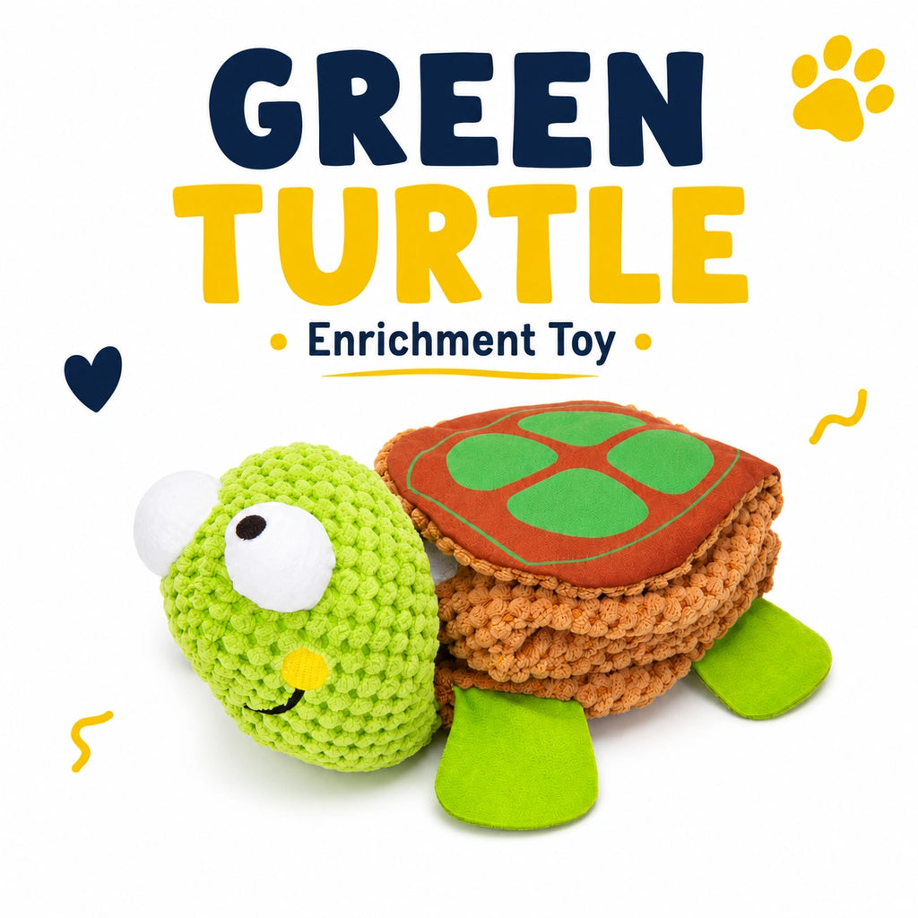 Turtle Bee