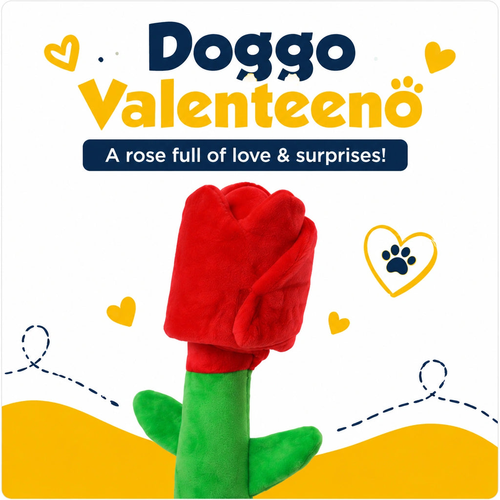 Doggo Valentino