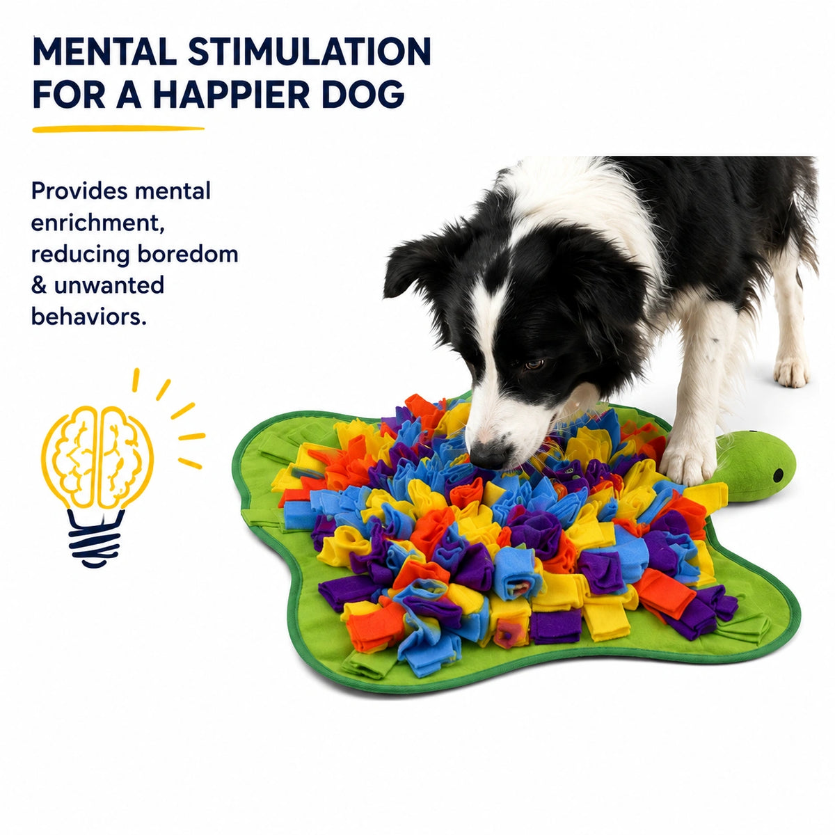 Wander Turtle Snuffle Mat